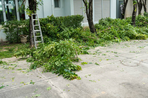 Best Utility Line Clearance  in Viola, IL